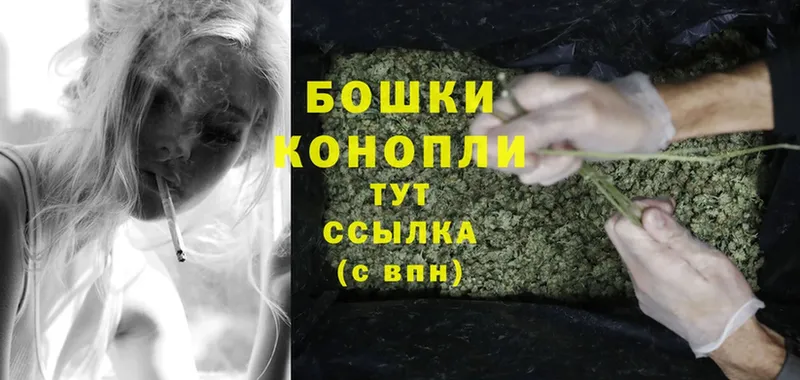 Бошки марихуана Ganja  дарнет шоп  Инта 